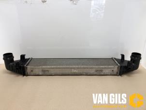 Gebruikte Intercooler Mercedes E (W212) E-200 CDI 16V BlueEfficiency,BlueTEC Prijs € 44,00 Margeregeling aangeboden door Van Gils Automotive