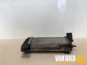 Gebruikte Intercooler Ford Transit Connect (PJ2) 1.6 TDCi 16V 95 Prijs op aanvraag aangeboden door Van Gils Automotive