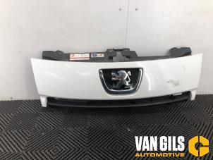Gebruikte Grille Peugeot Expert (G9) 1.6 HDi 90 Prijs € 125,00 Margeregeling aangeboden door Van Gils Automotive