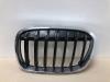 BMW X1 (F48) xDrive 28i 2.0 16V Twin Power Turbo Grille