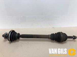 Gebruikte Steekas links-voor Dacia Sandero I (BS) 1.2 16V Prijs € 65,00 Margeregeling aangeboden door Van Gils Automotive