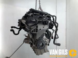 Gebruikte Motor Volkswagen Polo VI (AW1) 1.0 TSI 12V Prijs € 649,99 Margeregeling aangeboden door Van Gils Automotive