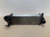 Intercooler van een Renault Kangoo Express (FW), 2008 1.5 dCi 75 FAP, Bestel, Diesel, 1.461cc, 55kW (75pk), FWD, K9K608; K9KB6, 2013-02, FW17; FW57; FWG7; FWK7 2013