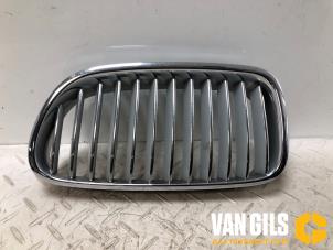 Gebruikte Grille BMW 5 serie Touring (F11) 520d 16V Prijs € 30,00 Margeregeling aangeboden door Van Gils Automotive