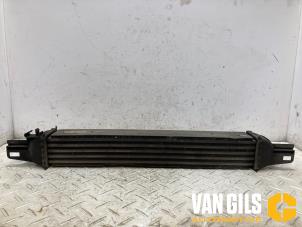 Gebruikte Intercooler Citroen Nemo (AA) 1.4 HDi 70 Prijs op aanvraag aangeboden door Van Gils Automotive