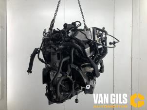 Gebruikte Motor Audi A4 (B9) 2.0 TDI 16V Prijs € 1.750,00 Margeregeling aangeboden door Van Gils Automotive