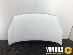 Gebruikte Motorkap Citroen Berlingo 1.6 Hdi 16V 90 Prijs € 199,99 Margeregeling aangeboden door Van Gils Automotive