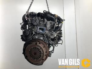 Gebruikte Motor Citroen Berlingo 1.6 Hdi 16V 90 Prijs € 1.724,99 Margeregeling aangeboden door Van Gils Automotive