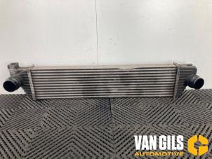Gebruikte Intercooler Renault Master III (MA/MB/MC/MD/MH/MF/MG/MH) Prijs op aanvraag aangeboden door Van Gils Automotive