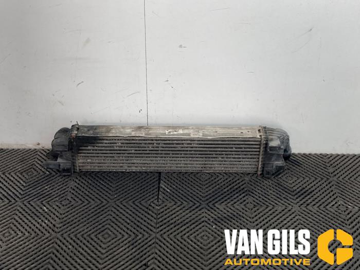 Gebruikte Intercooler Renault Trafic (1FL/2FL/3FL/4FL) 1.6 dCi 90 Prijs € 125,00 Margeregeling aangeboden door Van Gils Automotive