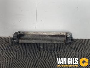 Gebruikte Intercooler Renault Trafic (1FL/2FL/3FL/4FL) 1.6 dCi 90 Prijs € 125,00 Margeregeling aangeboden door Van Gils Automotive