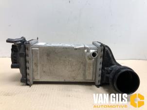 Gebruikte Intercooler Volkswagen Polo VI (AW1) 1.0 TSI 12V Prijs € 79,99 Margeregeling aangeboden door Van Gils Automotive