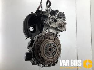 Gebruikte Motor Volkswagen Up! (121) 1.0 12V 60 Prijs € 499,99 Margeregeling aangeboden door Van Gils Automotive