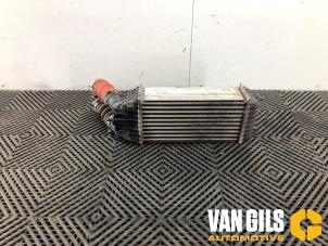 Gebruikte Intercooler Peugeot 2008 (CU) 1.2 12V e-THP PureTech 110 Prijs € 69,99 Margeregeling aangeboden door Van Gils Automotive