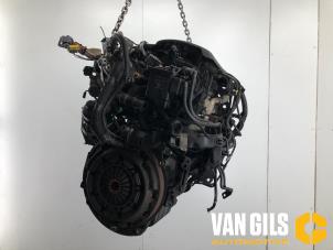 Gebruikte Motor Citroen Berlingo 1.6 Hdi 75 16V Phase 1 Prijs € 750,00 Margeregeling aangeboden door Van Gils Automotive