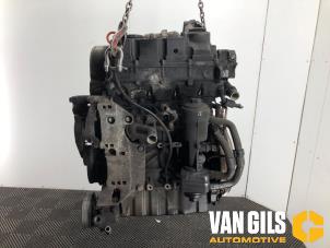 Gebruikte Motor Volkswagen Transporter T5 1.9 TDi Prijs op aanvraag aangeboden door Van Gils Automotive