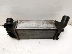 Gebruikte Intercooler Peugeot 407 SW (6E) 2.0 HDiF 16V Prijs € 60,00 Margeregeling aangeboden door Van Gils Automotive