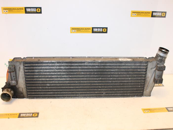 Gebruikte Intercooler Renault Megane II (BM/CM) 1.5 dCi 80 Prijs € 60,00 Margeregeling aangeboden door Van Gils Automotive