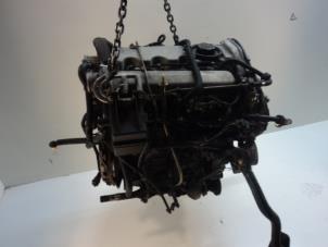 Gebruikte Motor Fiat Multipla (186) 1.9 JTD 105 SX,ELX Prijs € 299,00 Margeregeling aangeboden door Van Gils Automotive