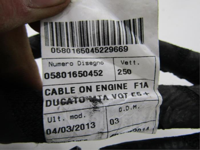 Kabelboom Fiat Ducato 2.3 D 150 Multijet - 05801650452