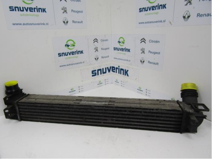 Gebruikte Intercooler Renault Megane III Grandtour (KZ) 1.5 dCi 110 Prijs € 50,98 Margeregeling aangeboden door Snuverink Autodemontage