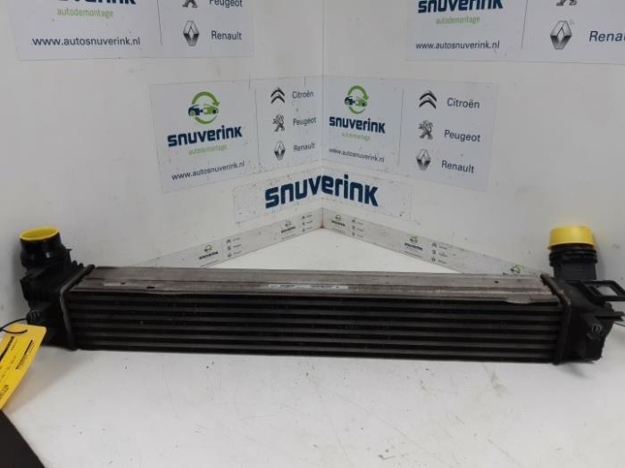 Gebruikte Intercooler Renault Scénic III (JZ) 1.5 dCi 110 Prijs € 29,75 Margeregeling aangeboden door Snuverink Autodemontage