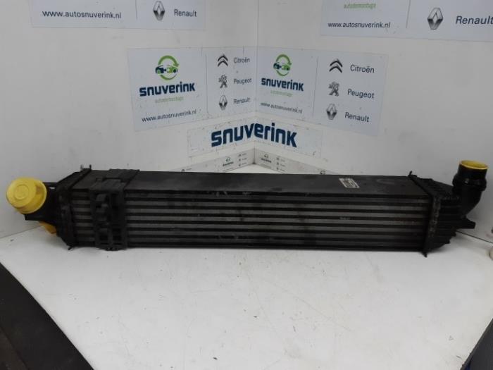 Gebruikte Intercooler Renault Laguna III Estate (KT) 2.0 dCi 16V 175 FAP Prijs € 57,37 Margeregeling aangeboden door Snuverink Autodemontage