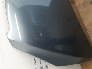 Gebruikte Motorkap Peugeot 307 CC (3B) 2.0 16V Prijs € 67,49 Margeregeling aangeboden door Snuverink Autodemontage
