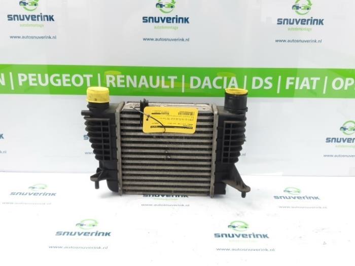 Gebruikte Intercooler Renault Clio III (BR/CR) 1.2 16V TCe 100 Prijs € 29,75 Margeregeling aangeboden door Snuverink Autodemontage