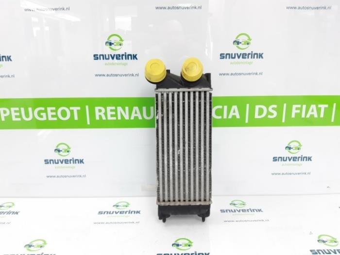 Gebruikte Intercooler Citroen C4 Berline (NC) 1.6 Hdi Prijs € 27,20 Margeregeling aangeboden door Snuverink Autodemontage