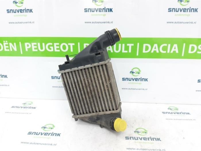 Gebruikte Intercooler Renault Twingo II (CN) 1.5 dCi 90 FAP Prijs € 24,48 Margeregeling aangeboden door Snuverink Autodemontage