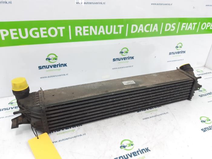 Gebruikte Intercooler Renault Laguna Coupé (DT) 2.0 Turbo 16V GT Prijs € 73,10 Margeregeling aangeboden door Snuverink Autodemontage