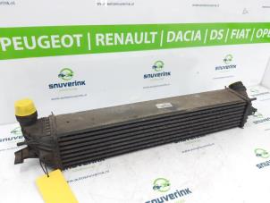Gebruikte Intercooler Renault Laguna Coupé (DT) 2.0 Turbo 16V GT Prijs € 86,00 Margeregeling aangeboden door Snuverink Autodemontage