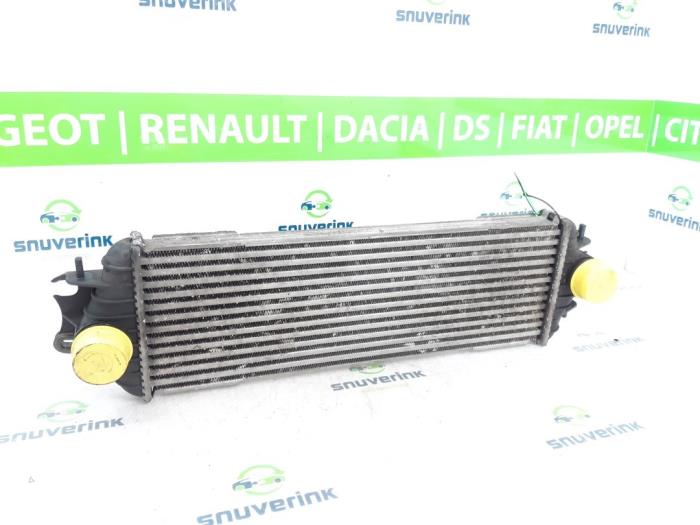 Gebruikte Intercooler Opel Vivaro 1.9 DTI 16V Prijs € 30,23 Inclusief btw aangeboden door Snuverink Autodemontage
