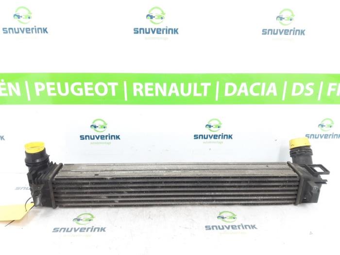 Gebruikte Intercooler Renault Megane III Berline (BZ) 1.5 dCi 90 Prijs € 50,98 Margeregeling aangeboden door Snuverink Autodemontage