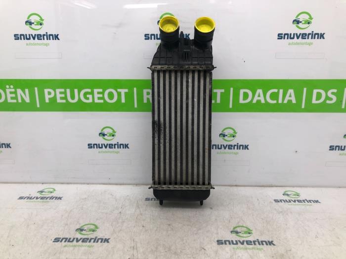Gebruikte Intercooler Citroen C3 (SC) 1.6 HDi 92 Prijs € 33,98 Margeregeling aangeboden door Snuverink Autodemontage