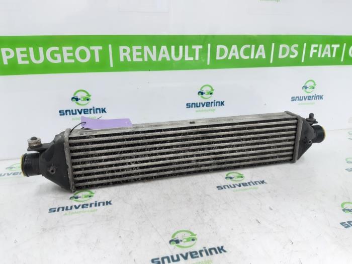 Gebruikte Intercooler Fiat Doblo Cargo (263) 1.3 D Multijet Prijs € 61,70 Inclusief btw aangeboden door Snuverink Autodemontage