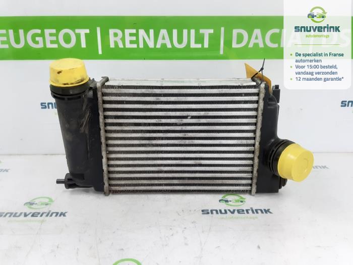 Gebruikte Intercooler Renault Megane IV (RFBB) 1.5 Energy dCi 110 Prijs € 38,25 Margeregeling aangeboden door Snuverink Autodemontage