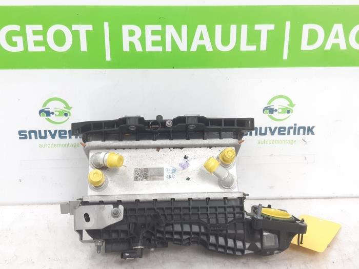 Gebruikte Spruitstuk Inlaat Renault Austral 1.2 E-Tech Full Hybrid 200 Prijs € 245,03 Inclusief btw aangeboden door Snuverink Autodemontage