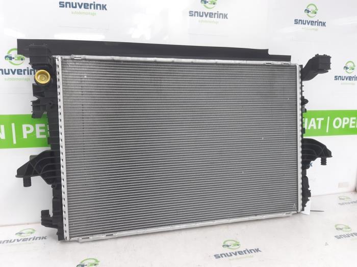 Gebruikte Radiateur Volkswagen Transporter T6 2.0 TDI 150 Prijs € 320,65 Inclusief btw aangeboden door Snuverink Autodemontage