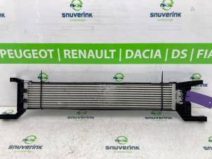 Gebruikte Oliekoeler Fiat Ducato (250) 2.2 D 140 Multijet 3 Prijs € 181,50 Inclusief btw aangeboden door Snuverink Autodemontage