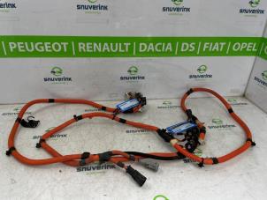 Gebruikte HV kabel (hoog voltage) Peugeot 208 II (UB/UH/UP) e-208 50 kWh Prijs € 124,98 Margeregeling aangeboden door Snuverink Autodemontage