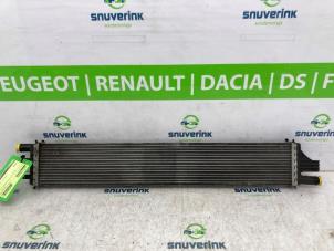 Gebruikte Radiateur Opel Movano 2.3 CDTi 16V FWD Prijs € 145,20 Inclusief btw aangeboden door Snuverink Autodemontage