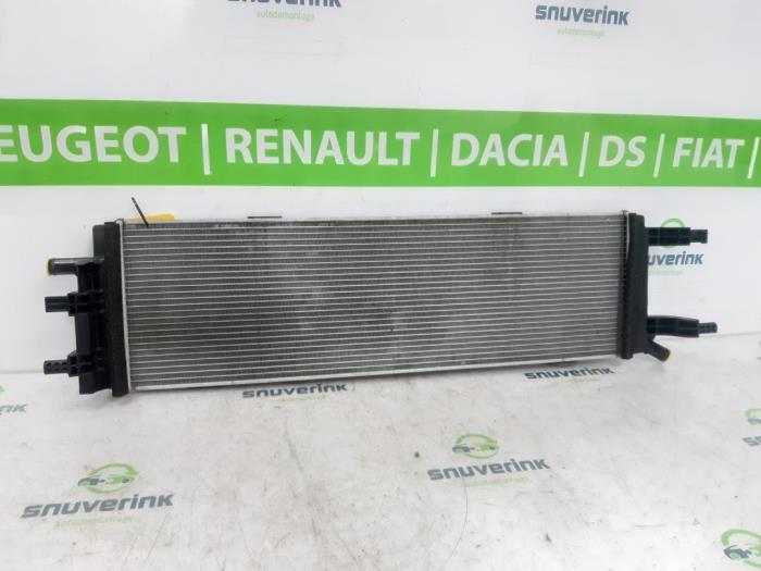 Gebruikte Radiateur Renault Austral 1.2 E-Tech Full Hybrid 200 Prijs € 356,95 Inclusief btw aangeboden door Snuverink Autodemontage