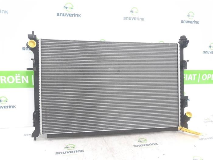 Gebruikte Radiateur Renault Austral 1.2 E-Tech Full Hybrid 200 Prijs € 242,00 Inclusief btw aangeboden door Snuverink Autodemontage