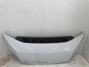 Gebruikte Motorkap Fiat Ducato (250) 2.3 D 130 Multijet Prijs € 423,50 Inclusief btw aangeboden door Snuverink Autodemontage