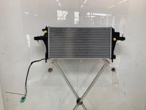 Radiateur van een Volvo EX40 (XZ) Single Motor Extended Range 82 kWh 2024