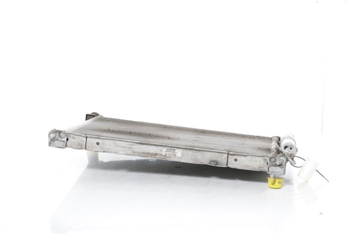 Gebruikte Radiateur Renault Twingo II (CN) 1.2 16V Prijs € 115,00 Margeregeling aangeboden door Snuverink Autodemontage