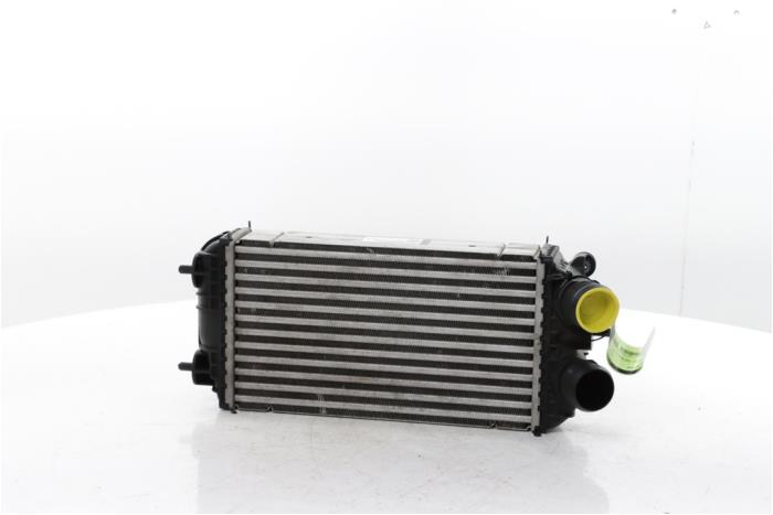 Gebruikte Intercooler Opel Corsa F (UB/UH/UP) 1.2 Turbo 12V 100 Prijs € 60,00 Margeregeling aangeboden door Snuverink Autodemontage