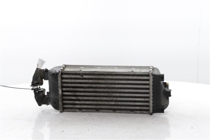 Gebruikte Intercooler Fiat 500 (312) 0.9 TwinAir 85 Prijs € 45,00 Margeregeling aangeboden door Snuverink Autodemontage